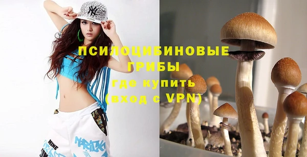 ПСИЛОЦИБИНОВЫЕ ГРИБЫ Дмитров