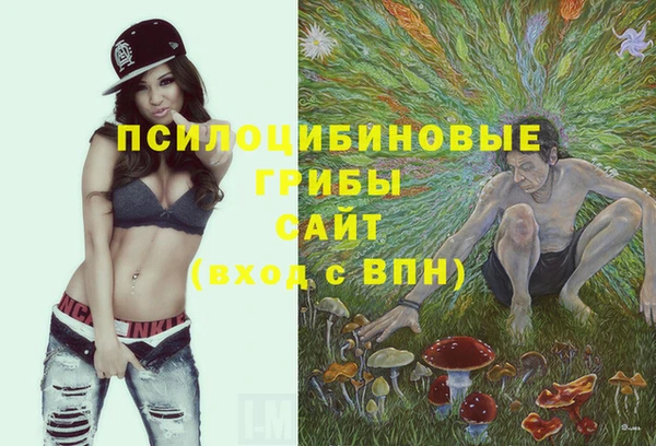 дживик Дмитровск