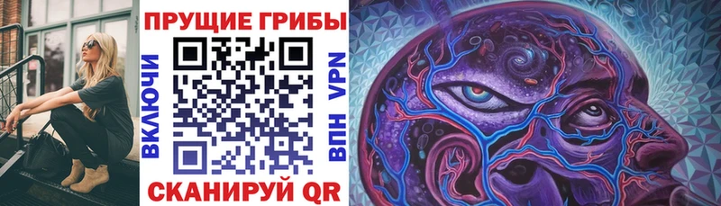 Галлюциногенные грибы Psilocybe  Салават 
